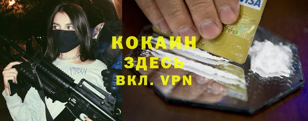 стаф Новозыбков