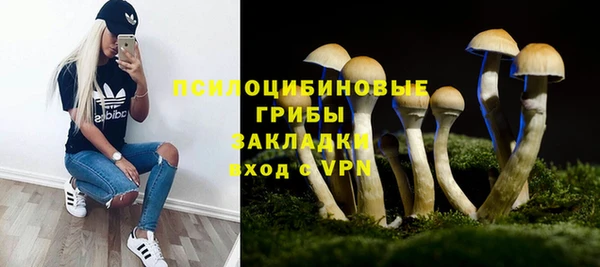 стаф Новозыбков