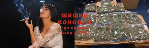 стаф Новозыбков