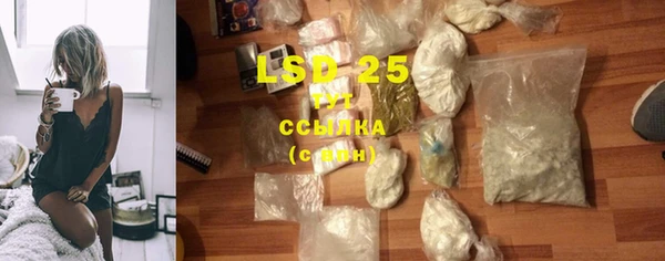 стаф Новозыбков