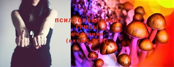 ECSTASY Новодвинск
