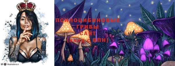 ECSTASY Новодвинск