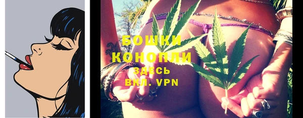 стаф Новозыбков
